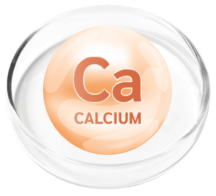 Calcium ingredient