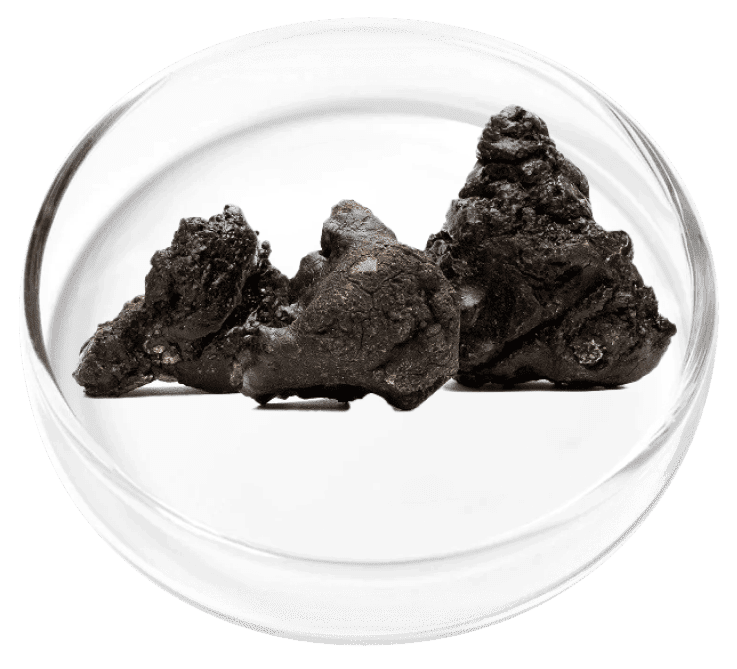 Shilajit ingredient